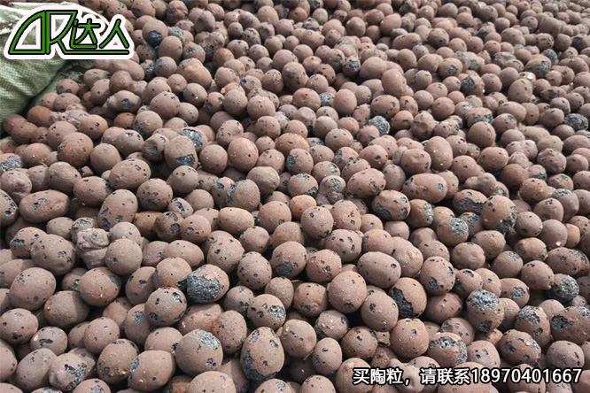 撫州陶粒_撫州陶粒批發_衛生間回填陶粒 撫州陶粒_撫州陶粒批發_衛生間回填陶粒